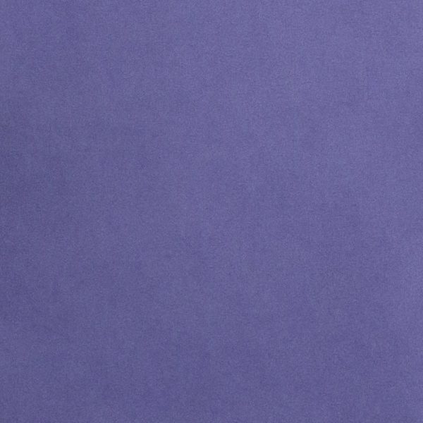 Garment Bag Set (Lavender)