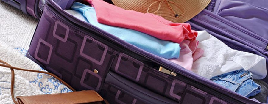 Travel DIY Wardrobe Care Kit